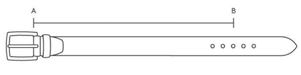 Belt Measurement